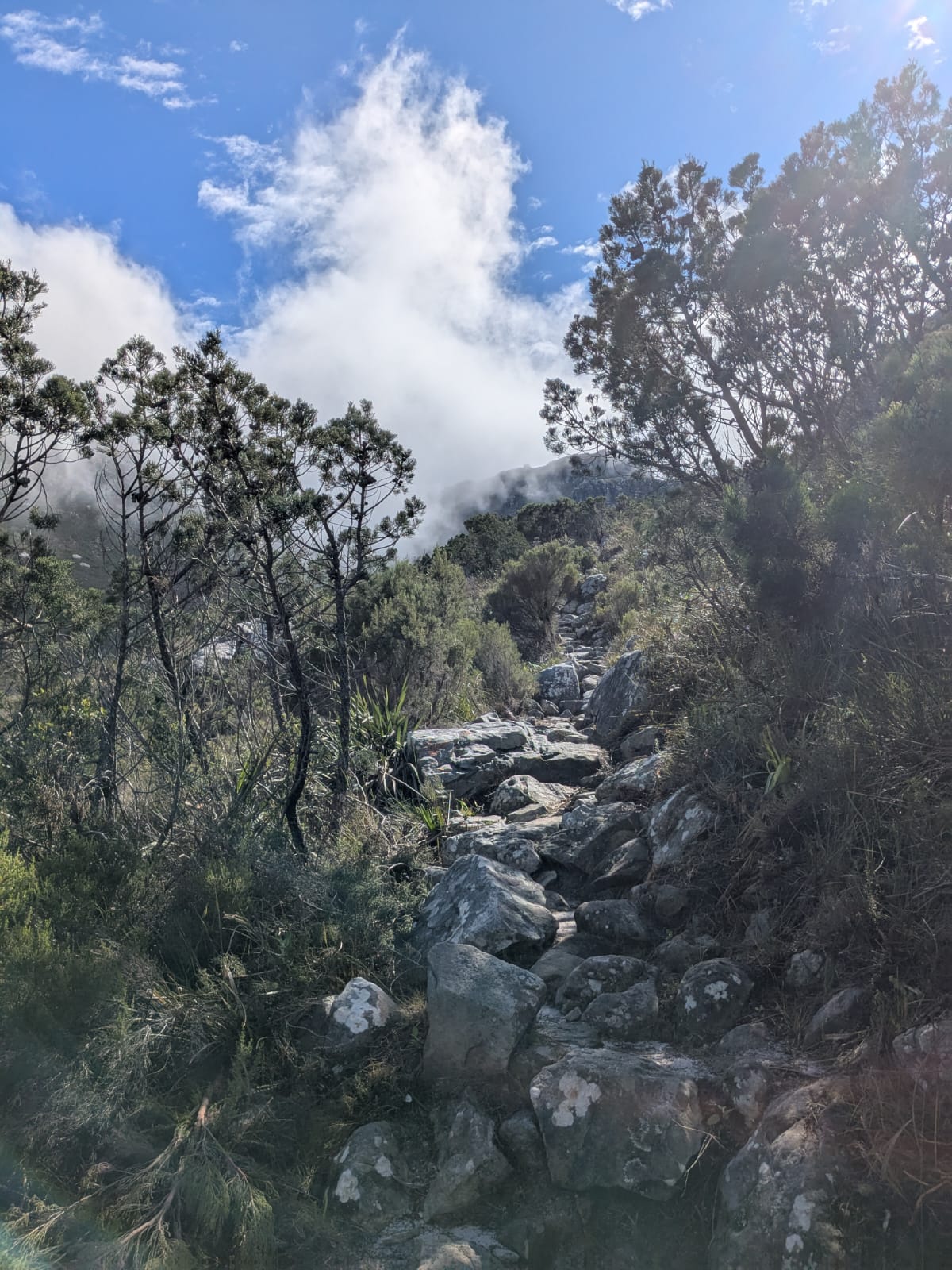 The Happy Hiker – Table Mountain like you’ve never seen it before