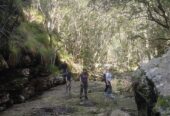The Happy Hiker – Table Mountain like you’ve never seen it before