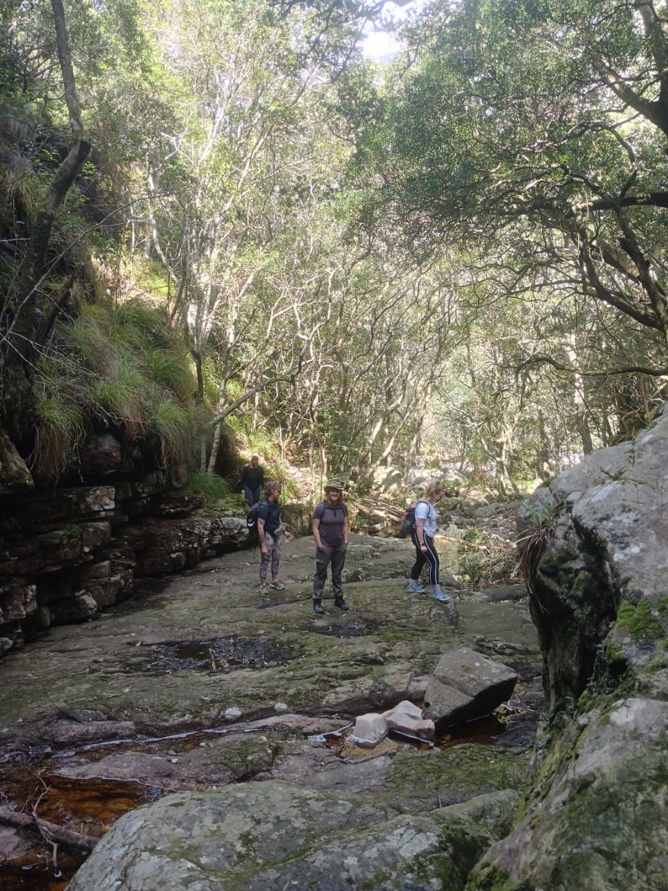 The Happy Hiker – Table Mountain like you’ve never seen it before