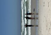 MSC Surf Lessons