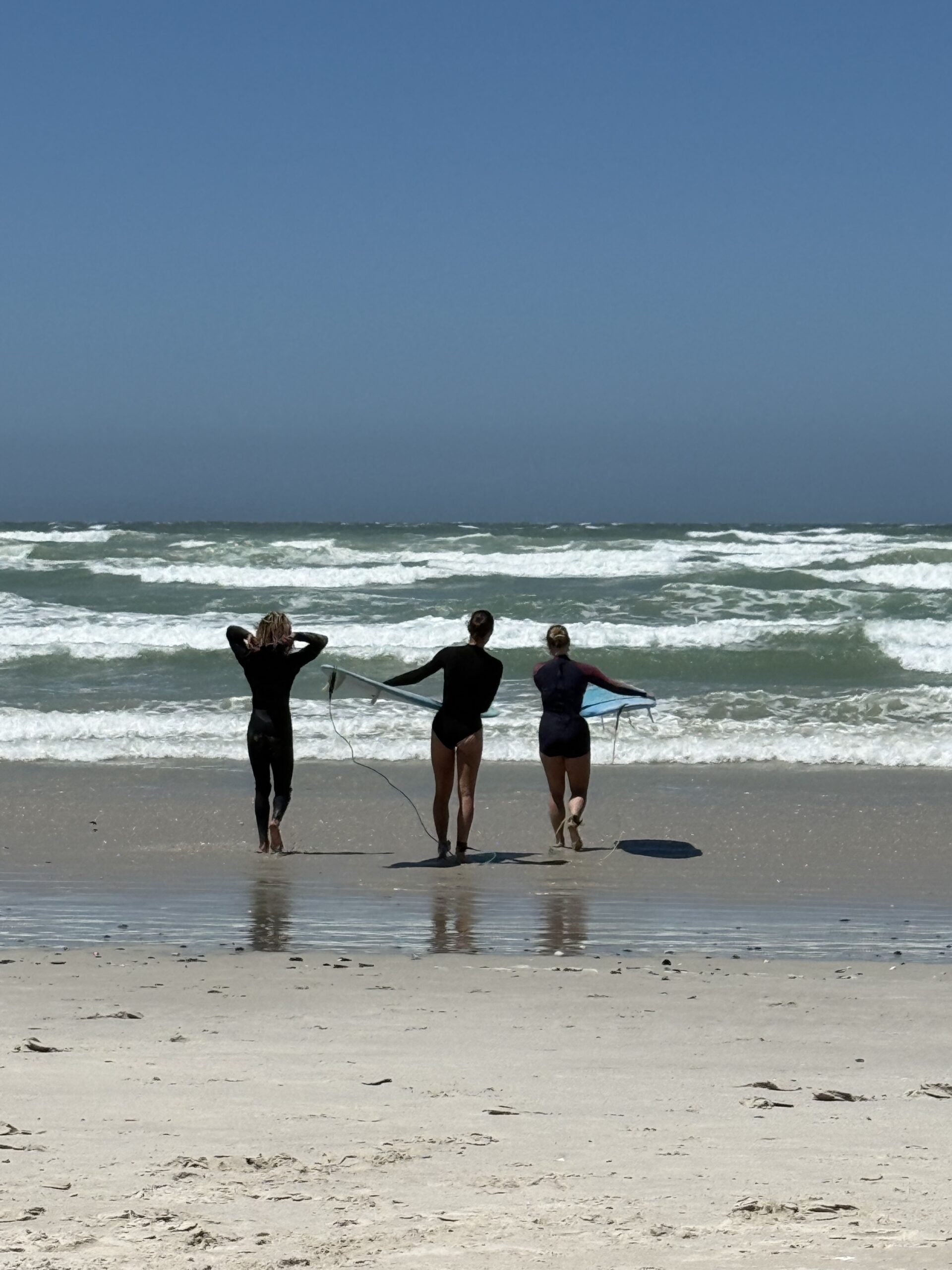 MSC Surf Lessons