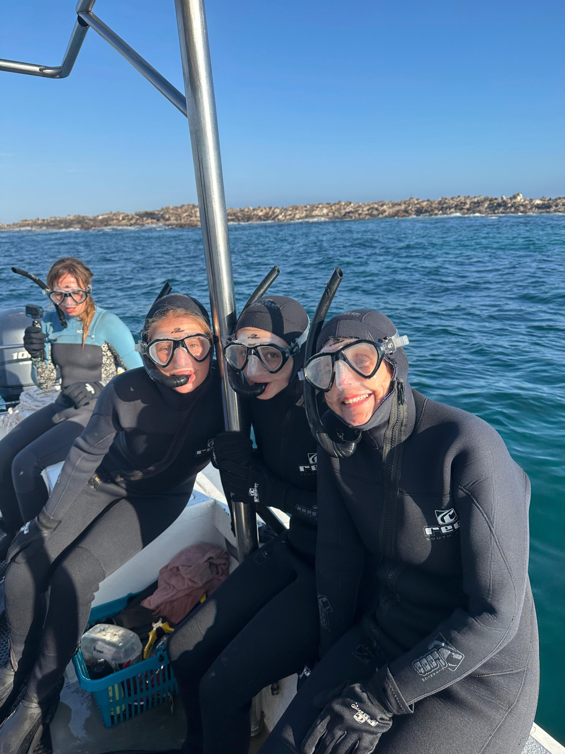 Swimming with Seals – Marine Dynamics